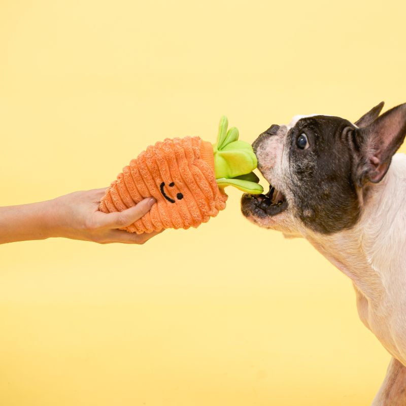 http://dogthings.co/cdn/shop/collections/Baconcarrotnoseworkdogtoydogthings_3.jpg?v=1692666542