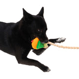 Bacon - Fishcake Skewer Tug Toy