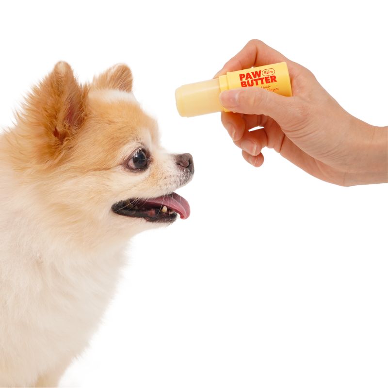 Bacon Paw Butter