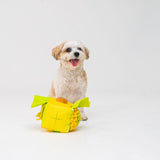 Bacon Cube Nose Work Toy