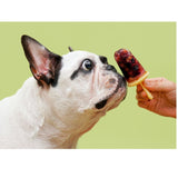 Bacon Icy Pole Maker