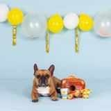 Fringe Studio - Pack Your Bags Enrichment Toy