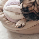 Lambwolf Collective - Toto Enrichment Toy