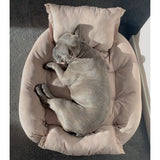 dogthings Lounge Pet Bed - Terracotta - dogthings.co