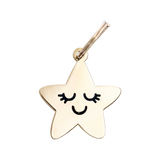 Two Tails Pet Company - Smiling Star Pet ID Tag
