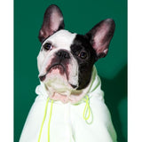 Bacon 3-in-1 Ghost Blanket - dogthings.co