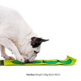 Bacon Broccoli Nose Work Toy - dogthings.co