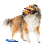 Bacon Choc Chip Cookie Dog Hunting Toy - dogthings.co