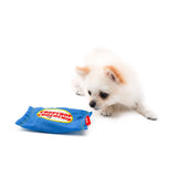 Bacon Choc Chip Cookie Dog Hunting Toy - dogthings.co