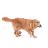 Bacon Dust Monster Toy Set - dogthings.co