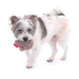 Bacon Dust Monster Toy Set - dogthings.co