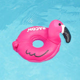 Bacon Flamingo Water Toy - dogthings.co