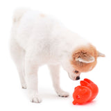 Bacon Gummy Bear Treat Dispenser Toy - dogthings.co