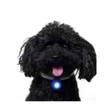 Bacon Go Out Club LED Light - 5 Colours