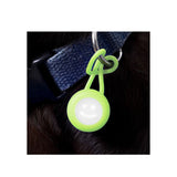 Bacon Go Out Club LED Light - 5 Colours