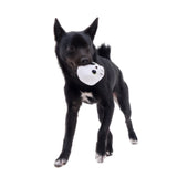 Bacon Witch Stew Nose Work Toy - dogthings.co