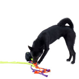 Bacon Witch Stew Nose Work Toy - dogthings.co