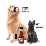 Bacon Beer Bottle Toy - dogthings.co