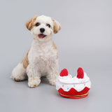 Bacon - Cake Nose Work Toy