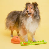 Bacon - Carrot Nose Work Toy