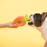 Bacon - Carrot Nose Work Toy