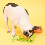 Bacon - Carrot Nose Work Toy