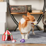 HugSmart - Circus Enrichment Toy - dogthings.co