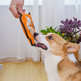 HugSmart - Raccoon Tough Dog Toy - dogthings.co