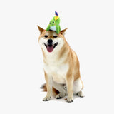 HugSmart - Dinosaur Dog Toy - Stego - dogthings.co