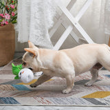 HugSmart - Feisty Vege Snuffle Toy - dogthings.co