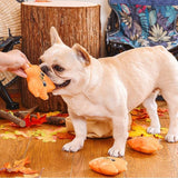 HugSmart - Autumn Leaf Enrichment Toy