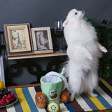 HugSmart - Green Sunshine Enrichment Toy - dogthings.co