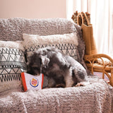 HugSmart - Onion Ring Interactive Toy