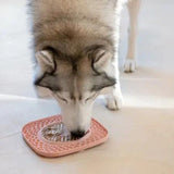 INOOKO - Yoomy Licking Plate in Various Colours