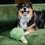 Injoya - Artichoke Enrichment Toy