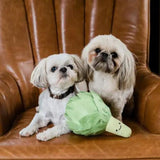 Injoya - Artichoke Enrichment Toy