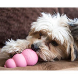 Kong - Puppy Small