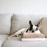 Lambwolf Collective - Baby Fleece Towel