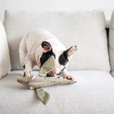 Lambwolf Collective - Flying Fish Dog Toy