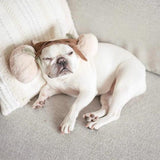 Lambwolf Collective - Momo Enrichment Toy