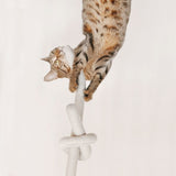 Lambwolf Collective - NouNou Enrichment Dog Toy - dogthings.co