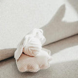 Lambwolf Collective - Oyster Pop Toy