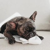 Lambwolf Collective - Trout Dog Toy