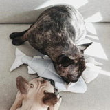 Lambwolf Collective - Trout Dog Toy