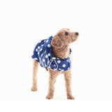 Merrypongo - Raincoat & Windbreaker in Polka Dot Navy