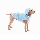 Merrypongo - Raincoat & Windbreaker in Skyblue Stripe