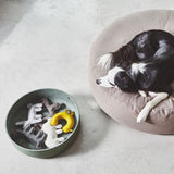 MiaCara - Bosco Dog Toys