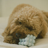 Peachy Dogs - Bulle Toy