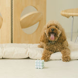 Peachy Dogs - Bulle Toy