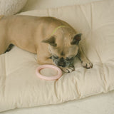 Peachy Dogs - Loop Toy